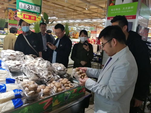 陈亮嘴深度调研奥吉特公司