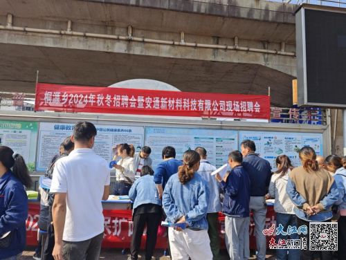 临川区桐源乡开展2024年秋冬招聘会暨安通新材料科技现场招聘会 图