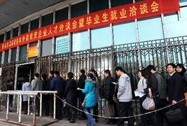 外企揽才受求职者青睐 绥宁人才市场